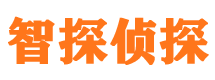 清城侦探公司